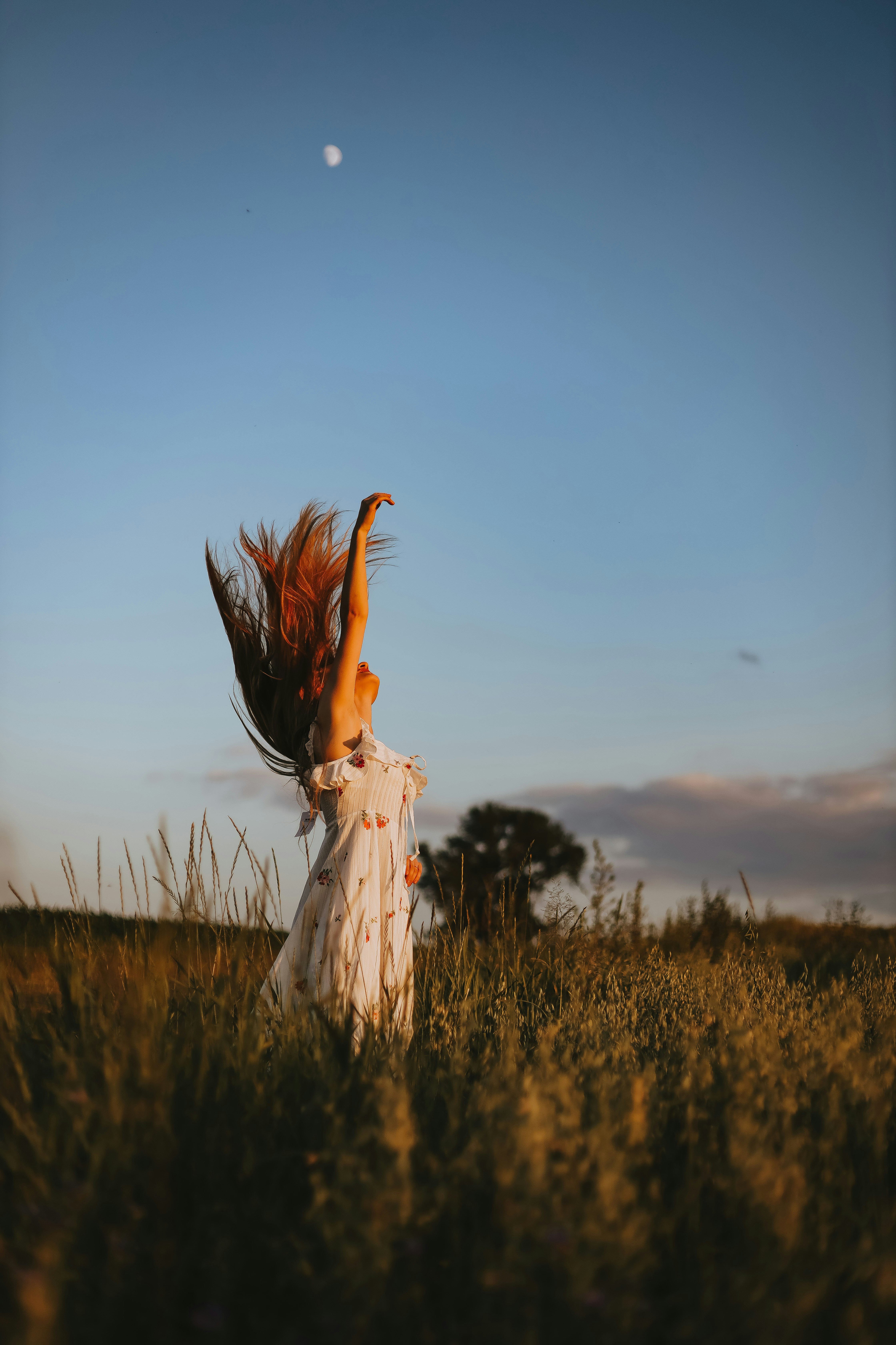 Rewilding Faith: Returning to the Wild, Authentic You in Christ